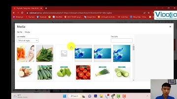Phần 1: Hướng dẫn chỉnh sửa Logo - Quản trị nội dung wp theme flasome