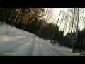 Застревушка в зимнем лесе