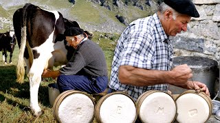 Artisan cheese in a cabin in the Pyrenees. Made in 1996 with freshly milked milk | Documentary film