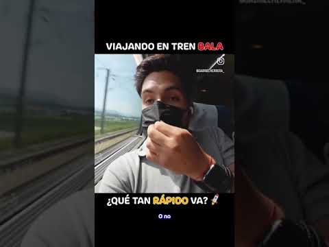 DENTRO DEL TREN
