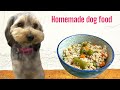 The Best Homemade Dog Food Recipe: Just 3 Ingredients!