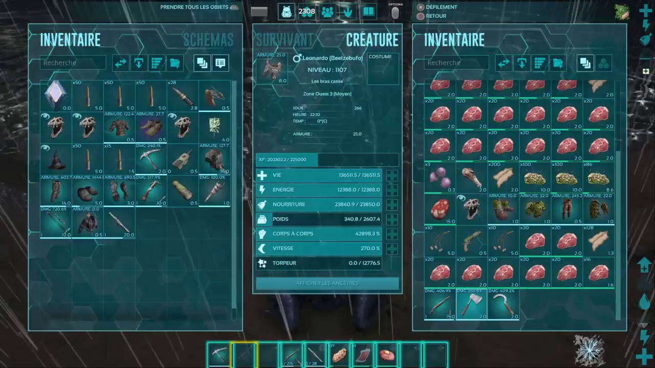 Boss Araignée De Chair Lost Ark Ark boss araignée - YouTube