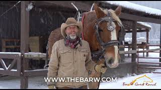 Winter Activities In Montana Bar W Guest Ranch Sleigh Ride