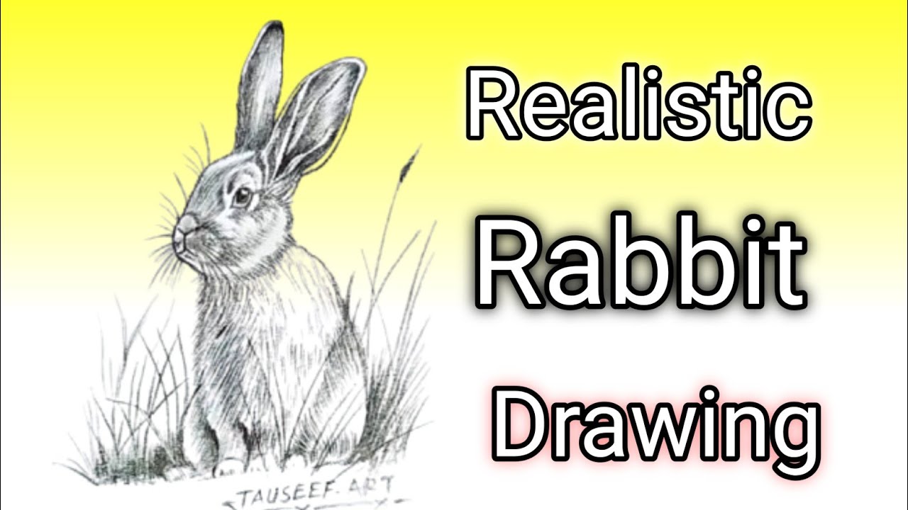 Realistic Rabbit Pencil Sketch Drawing | Step by Step Easy Shading