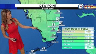 Local 10 News Weather: 11/24/2023 Morning Edition