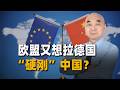 歐盟又想拉德國「硬剛」中國？後果很嚴重，這算盤打不響？