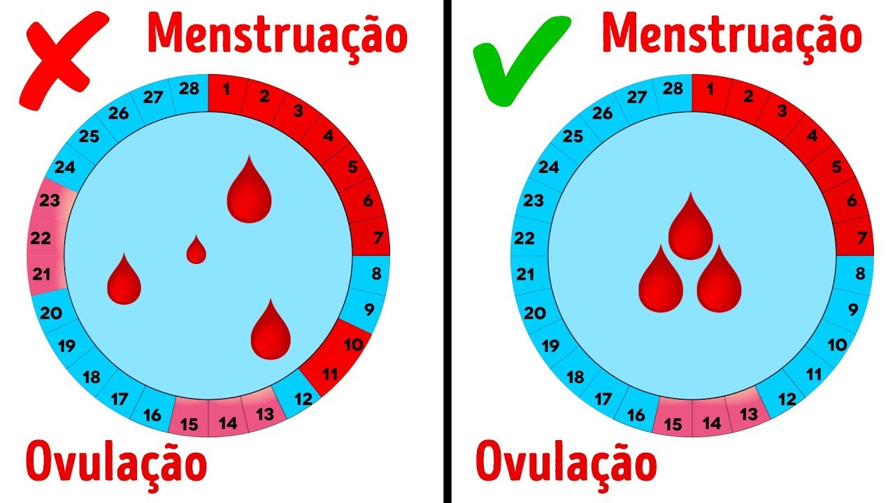 Menstruação: 6 coisas que TODA mulher deve saber!