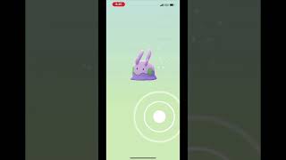 I hatched Eleven 10 km eggs in a Row! #pokémongo