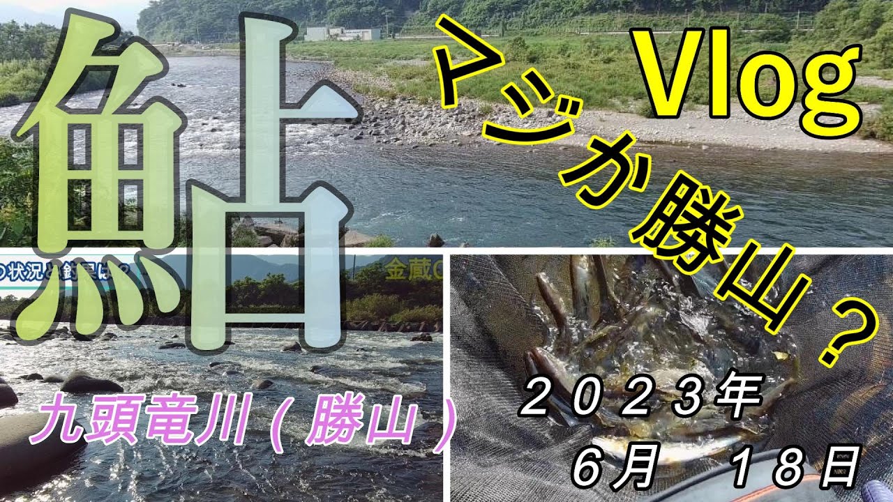 【九頭竜川勝山】マジか勝山？　２０２３．６．１８