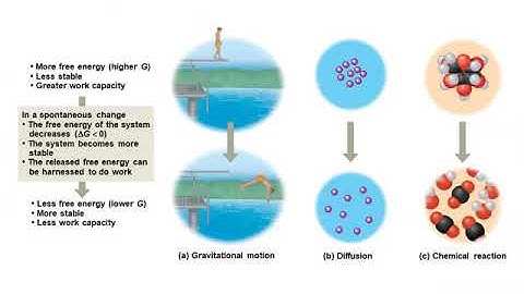 Chapter 8 An Introduction to Metabolism