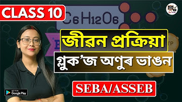Class 10 Science | জীৱন প্ৰক্ৰিয়া | গ্লুক’জ অণুৰ ভাঙন | SEBA/ASSEB | HSLC 2026