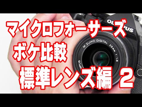 キレイなBIOKOR-S 45mm 1.9 BEAUTY の面白ボケ　改造レンズ キレイなBIOKOR-S 45mm 1.9 BEAUTY の面白ボケ 改造レンズ