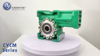 CYCM High Precision Worm Gear Reducer