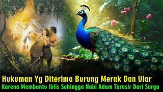 Peran Burung Merak Dan Ular Penyebab Nabi Adam Dan Hawa Terusir Dari Surga
