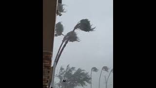 video recording hurricane ian in real time do not attempt this #hurricane #tornado #dangerous #wind