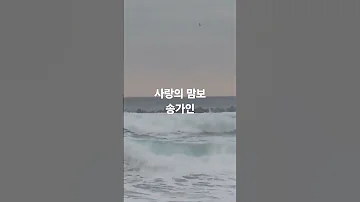 송가인 사랑의 맘보 노래 음악 Automobile 