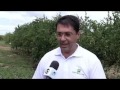 Fazenda Amway Nutrilite no Globo Rural