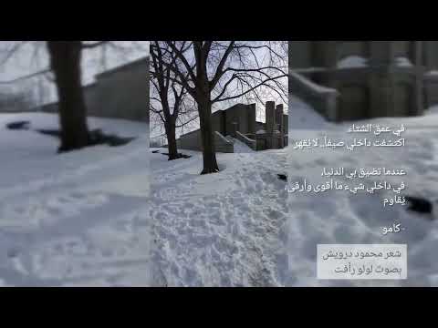 سأقطع هذا الطريق الطويل درويش بصوت لولو رأفت