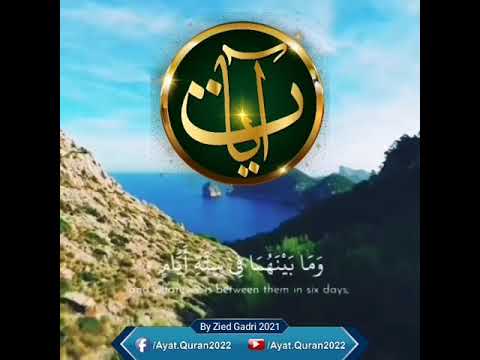 ما لكم من دونه من ولي ولا شفيع