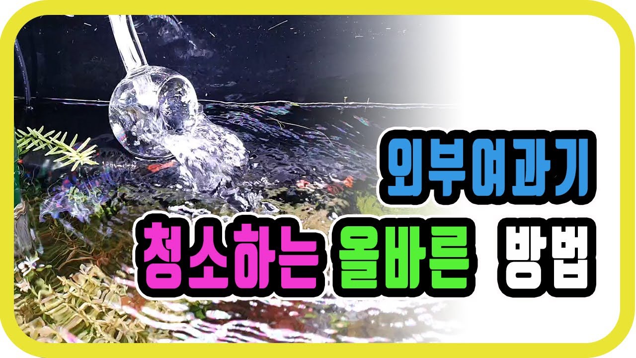 외부여과기 청소하기/QQ BC1500 외부 여과기를 올바르게 청소하는 방법(with 네이버 클로바더빙)