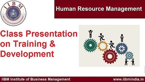 IIBM Institute | Human Resource Management |  Class Presentation on Training & Development