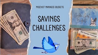 Getting My Ducks in a Row Savings Challenges - 2 Weeks!