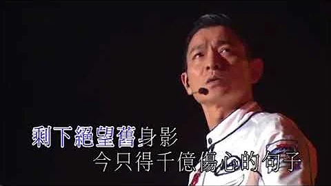 Andy Lau (刘德华 Liu De Hua) - Yi Qi Zou Guo De Ri Zi (一起走过的日子).mp4