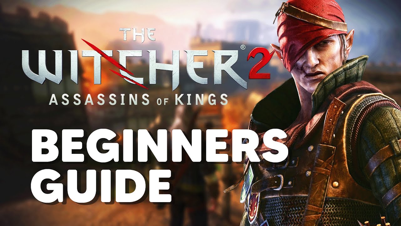 The Witcher 2 Assassins of Kings | Beginner's Guide - Tips and Tricks ...