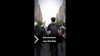 Gaza protests near Met Gala