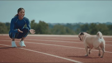 Nulo | Every Dream They Hold