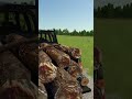 Logging Operation Takes Off In FS25!