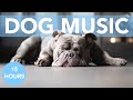 No ads asmr sleep music for anxious dogs