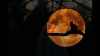 Darren Curtis - The Old Pumpkin Patch - Non Copyright Music -  cinematic / acoustic / horror