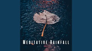 Inner Reflection Rainfall