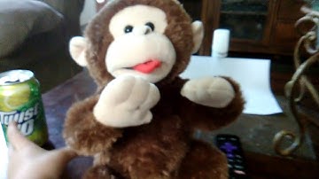 The talking monkey