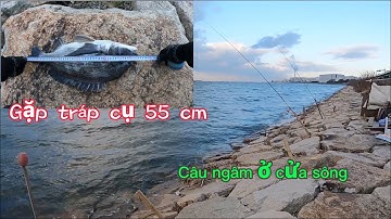 Câu ngâm ở cửa sông Cả buổi sáng chỉ một phát đốp nhưng chất lượng | Gia Đình Cá Tráp