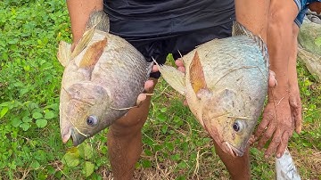 Đi đặt 12 cửa ngục bắt cá, cắm câu cá lóc. Lựa cá chốt lên cho sinh sản