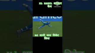 Kl Rahul का शानदार कैच सामी सात विकेट लेकर icc world cup मे प्रदर्शन