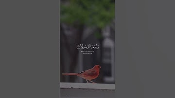 ✨🤍إن الله لعن الكافرون 🎙️المقرئ:عبد الإله العجيري📖سورة الأحزاب💫|الآية {64}|'