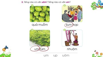 [LỚP 1] BÀI 53: UÔM, SÁCH CÁNH DIỀU, TIẾNG VIỆT LỚP 1, TẬP 1
