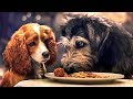 LADY AND THE TRAMP Full Movie Trailer (2019) Disney +