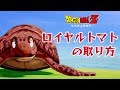【DBZ カカロット】ロイヤルトマトの取り方
