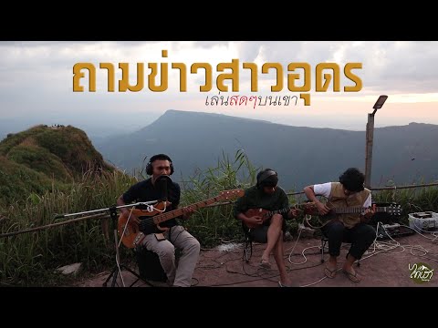 ถามข่าวสาวอุดร Cover ไทเฮา Camping feat.วุฒิ กระนวน (เล่นดนตรีบนเขา)