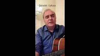 Şehadet Uykusu Aykut Kuşkaya