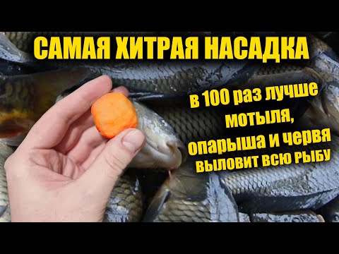 САМАЯ ХИТРАЯ НАСАДКА! КЛЮЁТ ЛУЧШЕ ЧЕМ НА МОТЫЛЯ ЧЕРВЯ И ОПАРЫША! СУПЕР РЫБОЛОВНАЯ НАСАДКА!