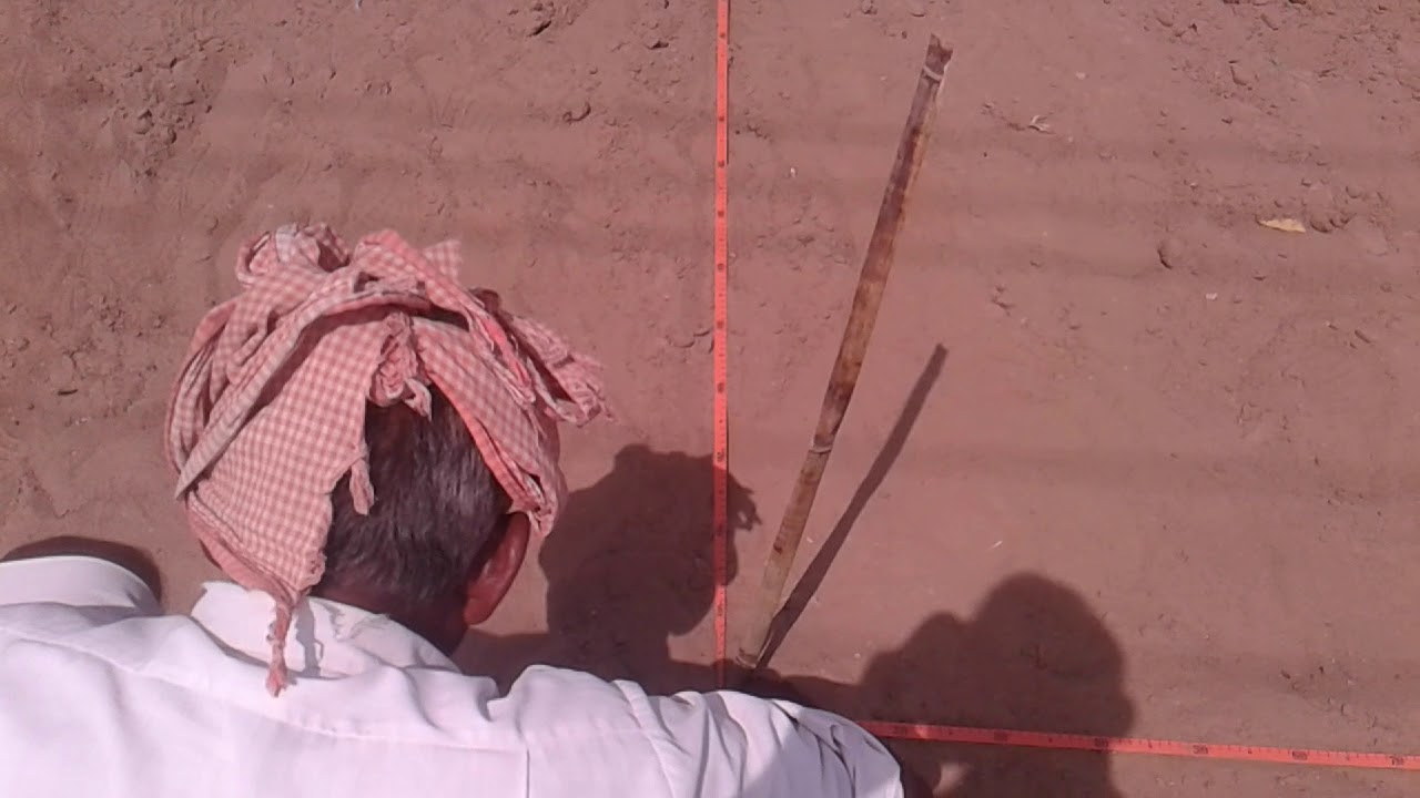 Layout of Field Experiment