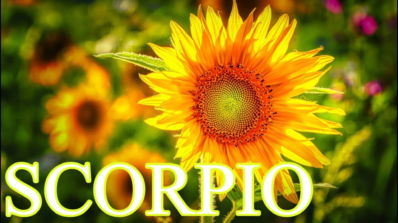 SCORPIO MARCH 2021 MONTHLY LOVE TAROT READING “MANIFESTATION DURING CHANGE ❤️💗💙💜❤️💗💙💜❤️💗💙💜