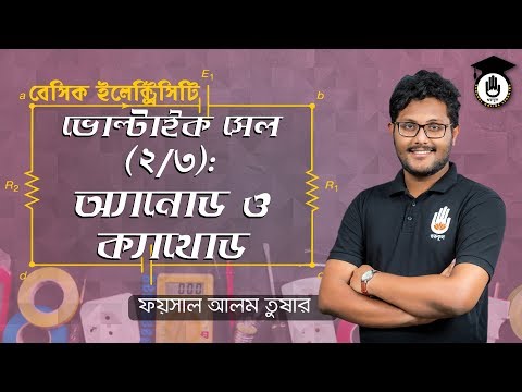 Polytechnic Basic Electricity - ভোল্টাইক সেল [2/3] অ্যানোড ও ক্যাথোড । Electrical Gurukul