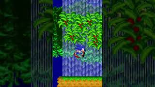 Toei Junio Sonic ~ Sonic Shorts ~ Sonic 2 Absolute mods Resimi