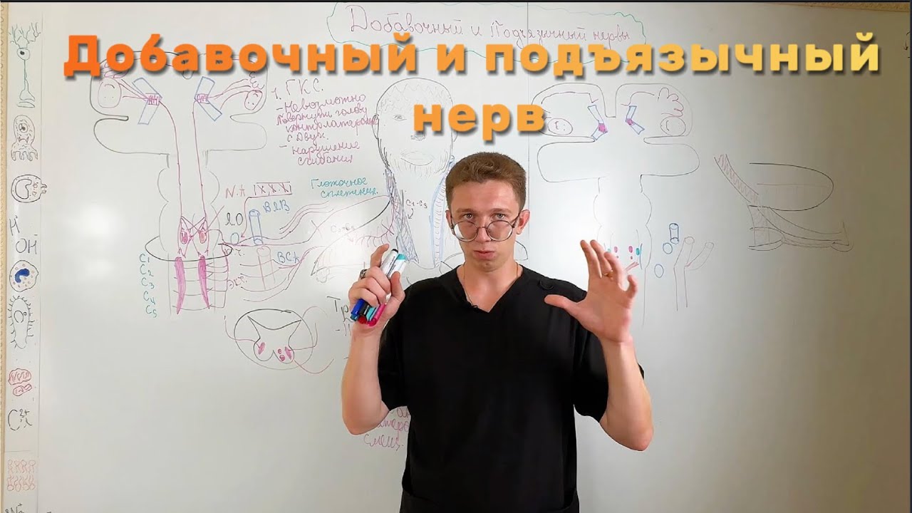 Черепные нервы: диагностика поражений XI и XII пар. Кривошея, дизартрия и фасцикуляции языка